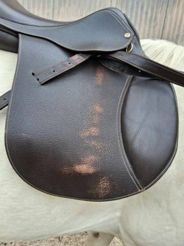 Selle tdt mixte 17,5