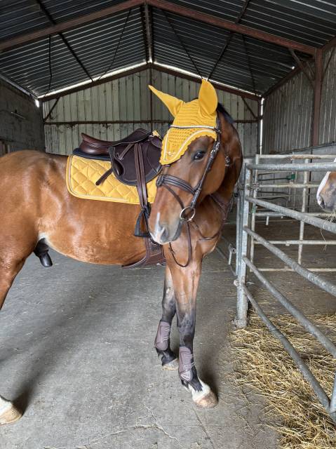 Tapis  Lami-cell  Jaune