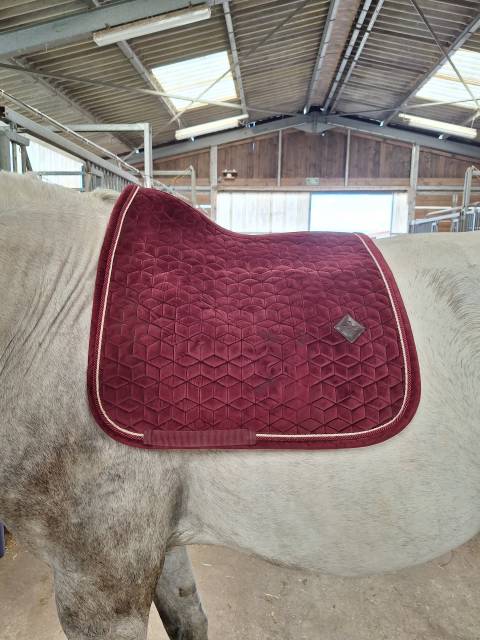 Tapis kentucky dressage