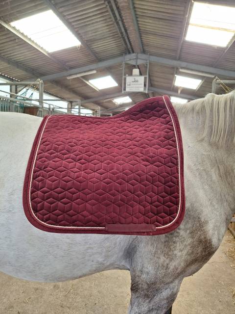 Tapis kentucky dressage