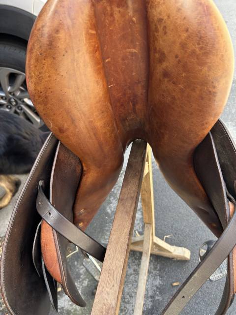 Selle butet 14 pouces