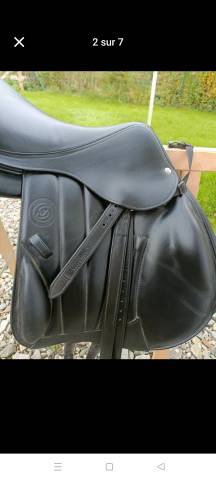 Selle noire Forestier modèle Boeckelo année 2021