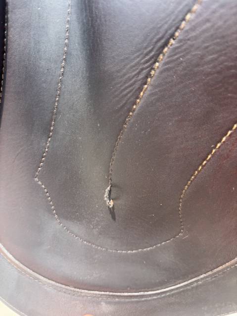 Selle Antares Monoquartier 