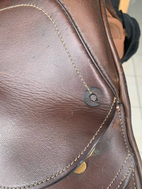 Selle Eric Thomas 17,5