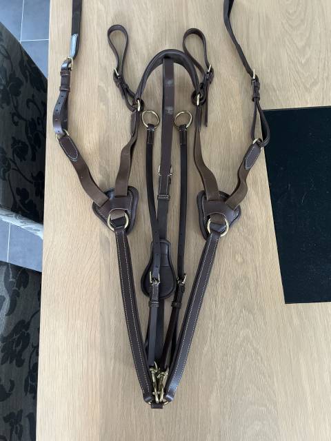 Collier de chasse 5 points Time Rider taille cheval 