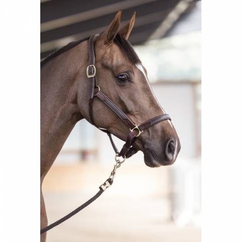 Licol cuir NT - Stubben - Cuir vachette souple