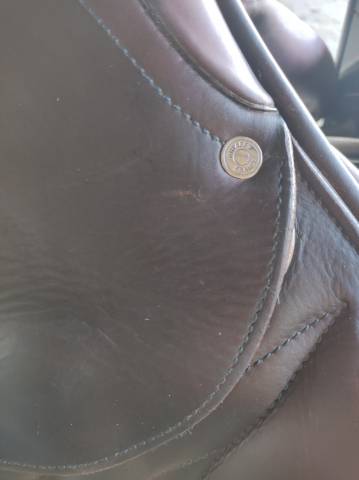 Selle monoquartier Antares 17p