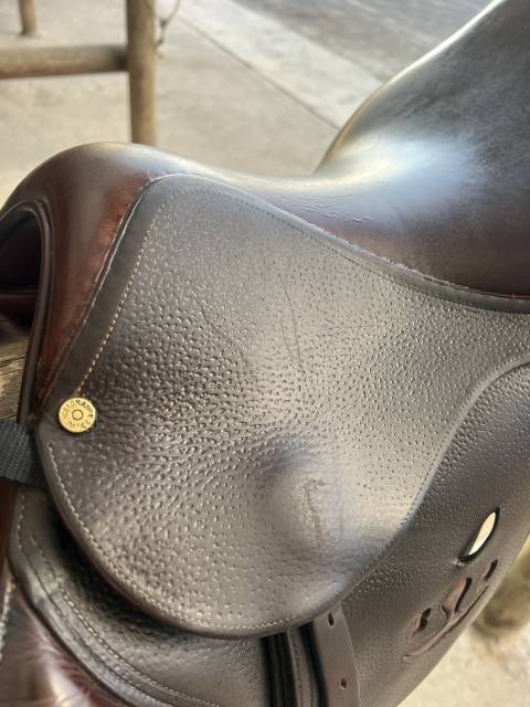 Selle Bruno Delgrange 17’ - modèle Partition