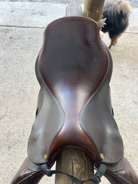 Selle Bruno Delgrange 17’ - modèle Partition