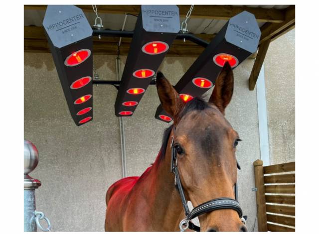 solarium hippocenter tres peu servi