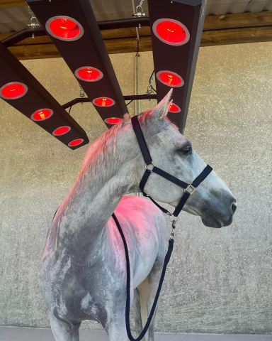 solarium hippocenter tres peu servi