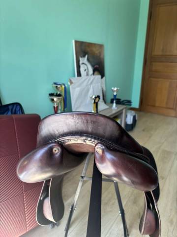 Selle Meyer 17,5