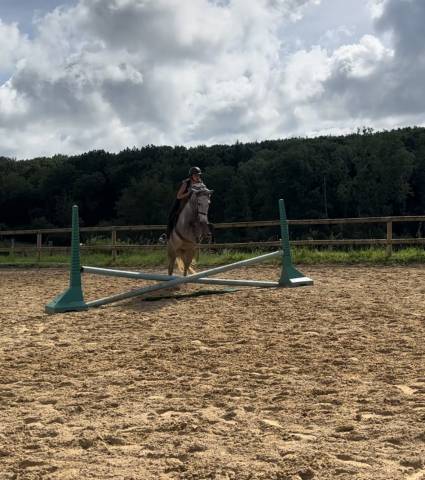 Propose dp sur carmen