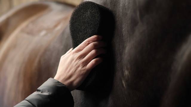 Éponge Shine Scrubber - Lami-Cell - Multifonctionnelle