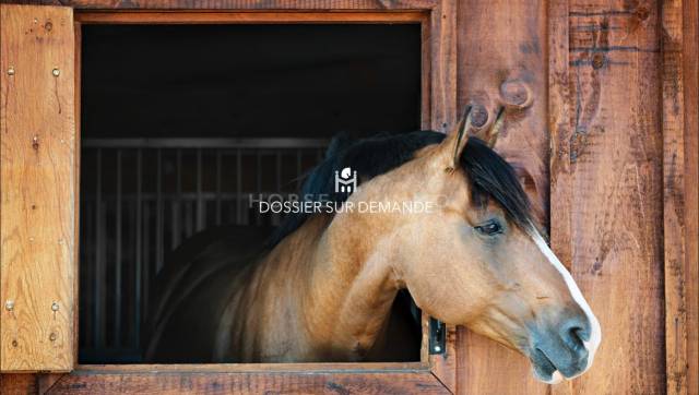 Magnifique domaine equestre en touraine