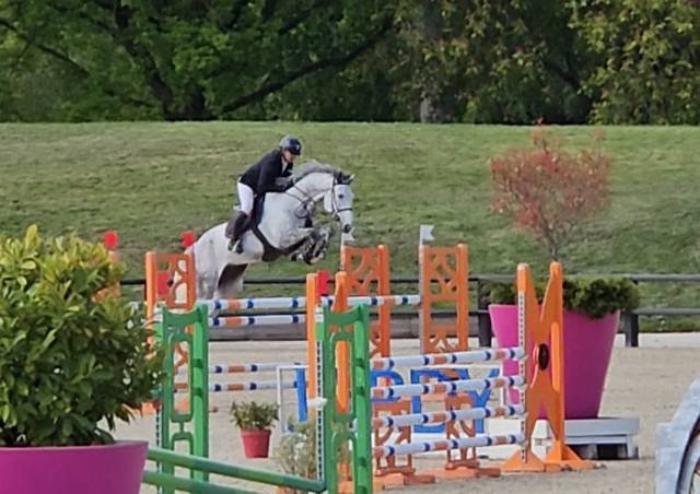 Cheval de 7ans amateur