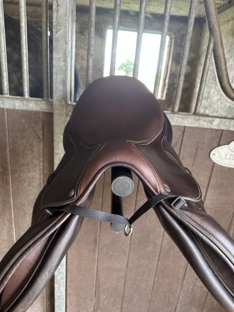 Selle Forestier Séoul 17’ 2024