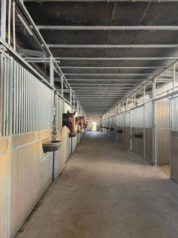 Haras de reproduction clé en main sur 52 ha dans le morbihan (5