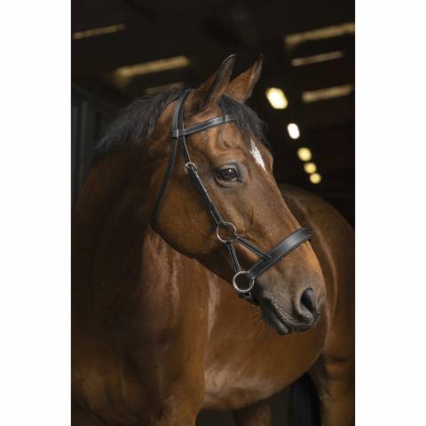 Bridon side pull Pro Confort - Norton