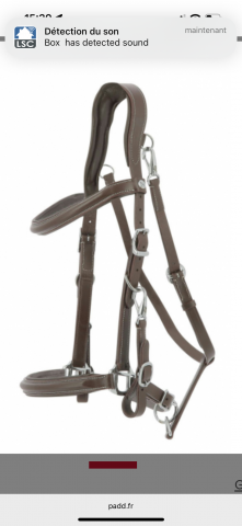 Bridon/Licol Norton Trekking