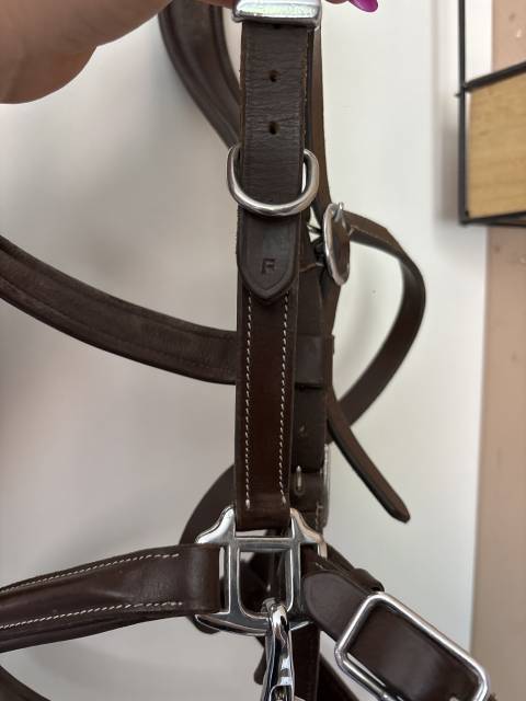 Bridon/Licol Norton Trekking