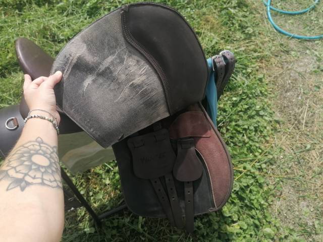 Selle mixte Wintec 17 pouces 