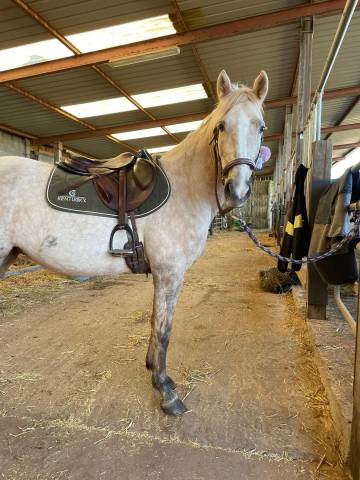 Selle CWD monoquartier