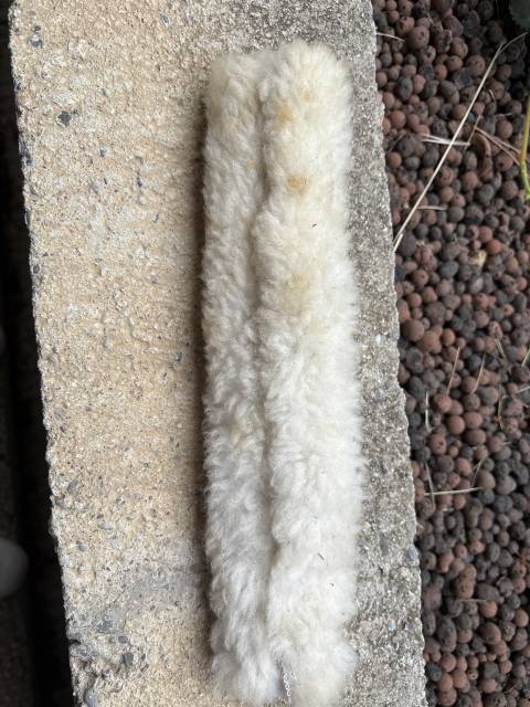 Fourreau de protection muserolle 