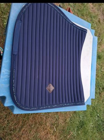 Tapis Kentucky à vendre