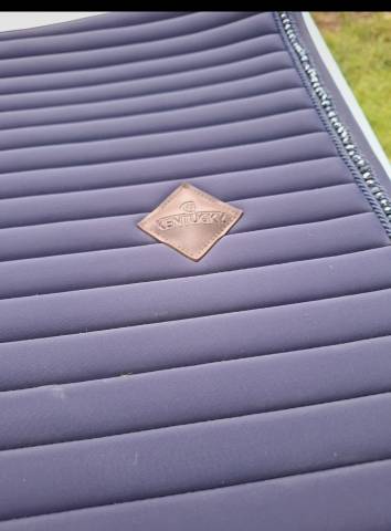 Tapis Kentucky à vendre