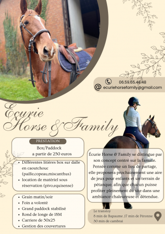 écurie de propriétaires - écurie horse&family 62450 le transloy