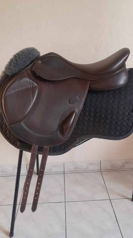 Selle Arena Monoquartier