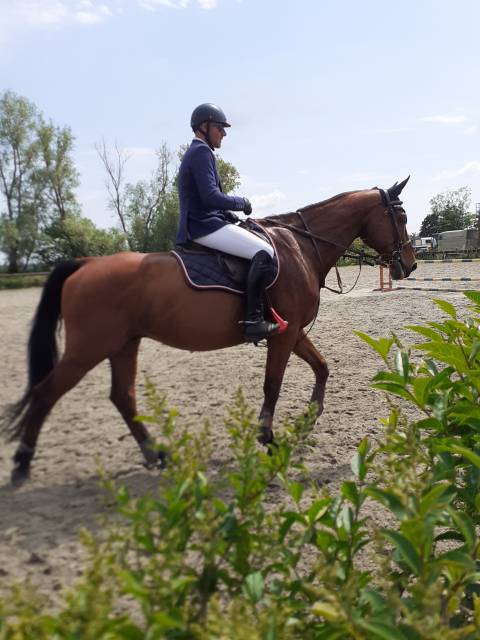 Demi-pension sur cheval de sport