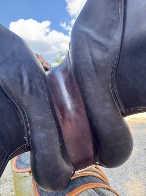 Selle Cwd 2gs mademoiselle 