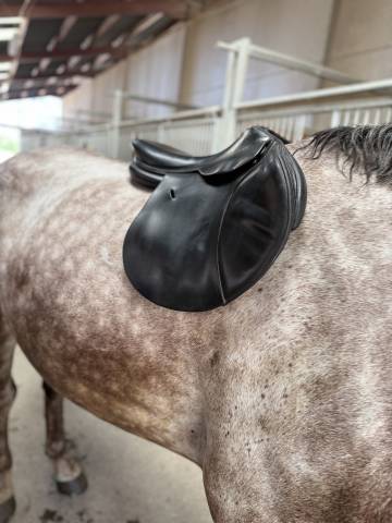 Selle Mixte Butet Sellier