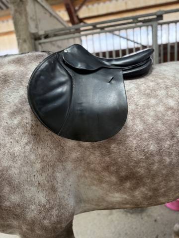 Selle Mixte Butet Sellier