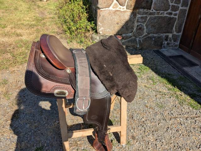 Selle Pool's FQH 16''