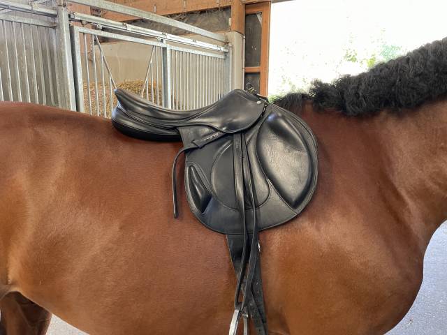 Selle Antarès monoquartier 