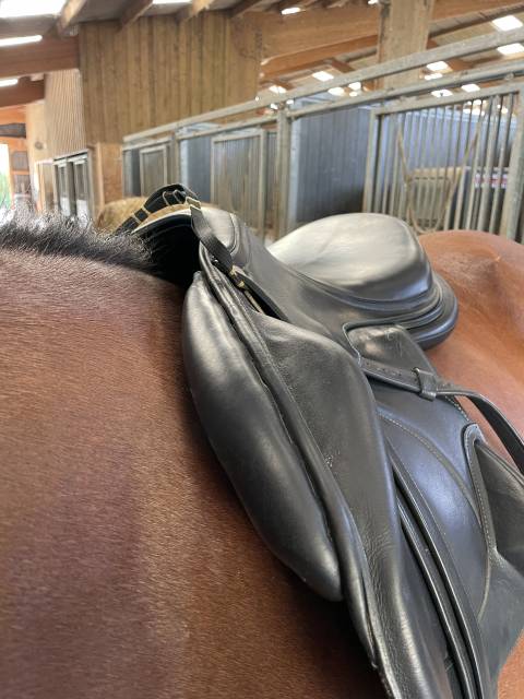 Selle Antarès monoquartier 