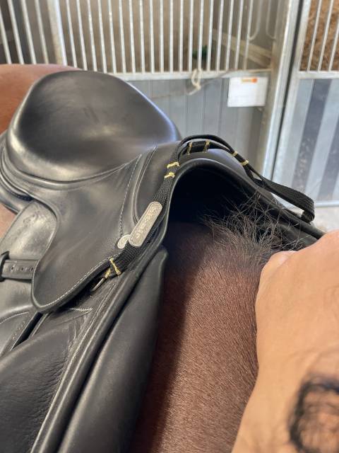 Selle Antarès monoquartier 