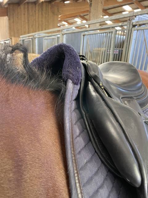 Selle Antarès monoquartier 