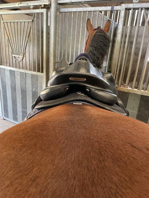 Selle Antarès monoquartier 