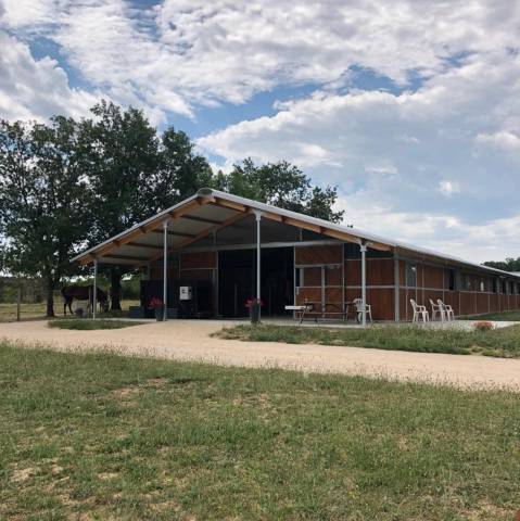 Pension valorisation / commerce - écuries de pramadel & élevage scf