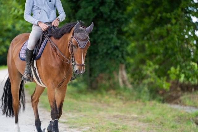 Location de box avec accès aux infrastructures