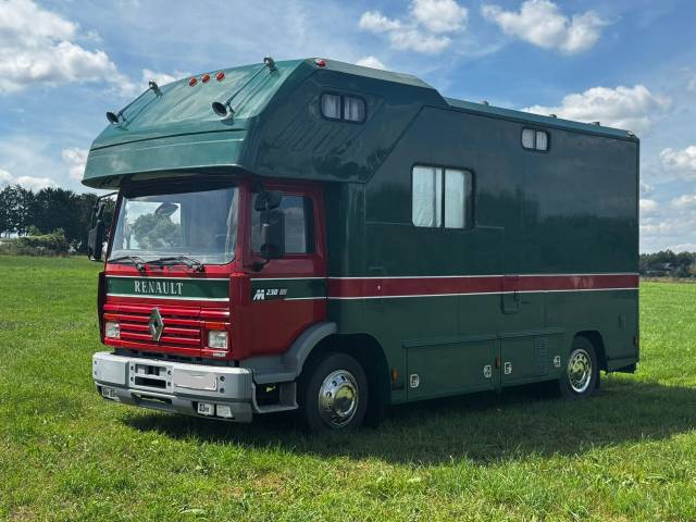 Camion transporter 2/3 chevaux