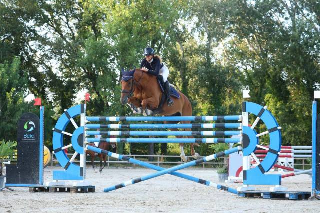 Hongre - selle francais- 9 ans - classé 105/110