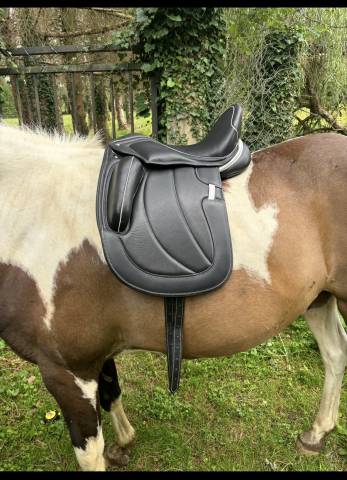 Selle dressage 