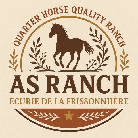 Pension cheval - équipiste