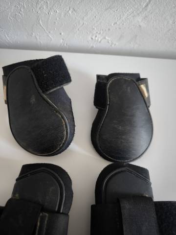 Protection taille poney
