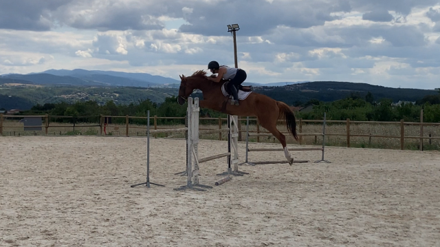 Jument 7 ans classé 115